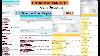 Genome wide study Part 9 | gene structure | exon intron