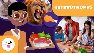 CARNIVORES, HERBIVORES and OMNIVORES - Eating Habits of Heterotrophic Organisms