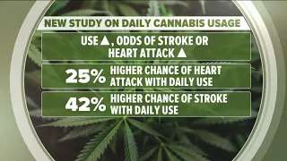 New study shows marijuana use linked to higher risk of heart attack, stroke