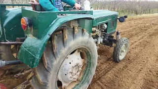 Jarné sadenie zemiakov pomocou traktora Zetor 30. 4 odrody, skoré zemiaky.