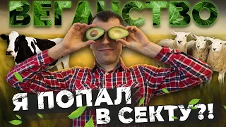 Кто такие веганы – СЕКТАНТЫ ИЛИ СПАСАТЕЛИ ПЛАНЕТЫ? 4 года на растительном питании - что со мной?