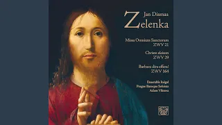 Missa omnium sanctorum, ZWV 21: Agnus Dei