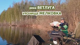 ПОЙМАЛ ЛЕЩА НА 2КГ  РЫБАЛКА ВЕСНОЙ В МАЕ С НОЧЕВОЙ НА реке ВЕТЛУГА  МАРИЙ ЭЛ