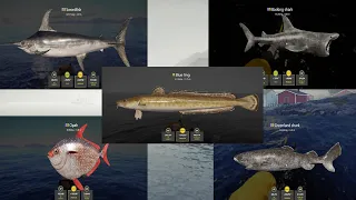 Russian fishing 4~ Rf4-4 Silver Hotspots + Setup & Spots