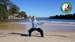 Sword Sea and Tai Chi with Dr Paul Lam