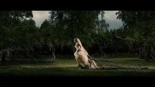 Melancholia Opening Scene