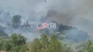 Shqipëria digjet prej disa javësh, 10 qarqe raportojnë vatra aktive zjarri