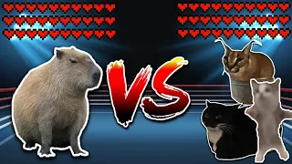 Capybara vs All Cats! Meme battle