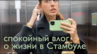 спокойная жизнь в Стамбуле, кино-рекомендации и chit-chat