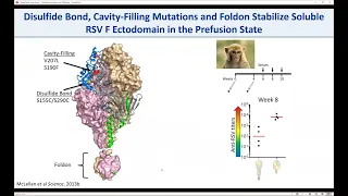 Jason McLellan, "Structure-based Vaccine Antigen Design" (ChemSem 7)