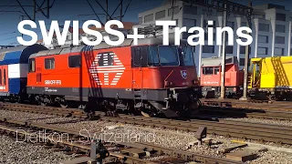 🇨🇭 SWISS Trains I Dietikon (SWITZERLAND)