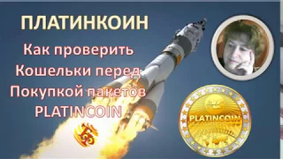 Как проверить кошельки перед покупкой пакетов PLATINKOIN