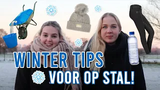 BELANGRIJKE WINTER TIPS voor op stal || Vlogmas dag 18