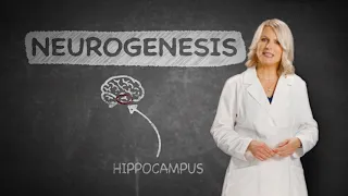 Neumentix On Your Mind: Science Behind Neurogenesis