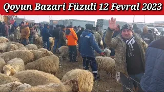 QOYUN BAZARİ FÜZULİ 12 FEVRAL #qoyun #bazari#qulu #beyleqanlı