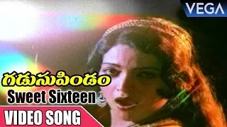 GadusuPindam Movie Songs |  Sweet Sixteen Video Song | Suman, Anuradha, Bhanu Chandar, Surekha
