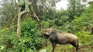 Surviving alone, spotting wild boars, making water crows out of bamboo, survival instincts