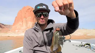 The best knot to tie with fluorocarbon