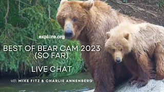 Best of Bear Cam 2023 (so far) with Mike Fitz and Charlie Annenberg | Brooks Live Chat