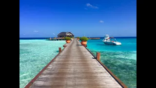 Unforgettable Moments in the Maldives - A Tropical Escape to Paradise #travel #sea #hotel #tiktok