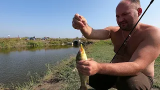 Ну как так можно !? Наказали браконьеров, отпустили рыбу! Рыбалка с Сибтермо.