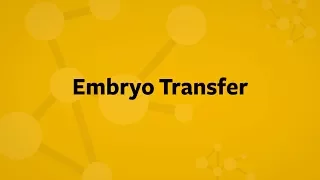 In Vitro Fertilization Embryo Transfer