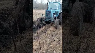 Як ми МТЗом цілину підіймали😂🚜🚜🚜