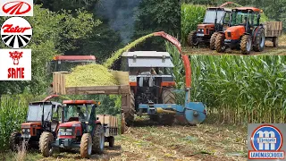 Zetor 6245 & Mahindra 7030 & Same Argon 80 - Silage, day one!