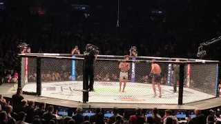 UFC 223 - Zabit Magomedsharipov - more 2nd round hightlights