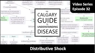 Distributive Shock