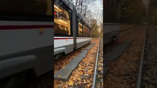 Autumn Breeze #shorts #travel #top #autumn #breeze #incredible #europe #train #october #Austria