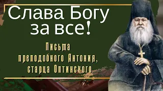 Мудрость жизни! Слава Богу за все! - Письма преподобного Антония, старца Оптинского