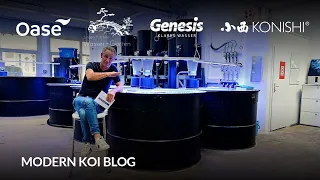 Modern Koi Blog #6106 - Wieviel Sauerstoff braucht es bei Einsatz von reinem Sauerstoff?