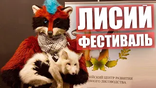 ЛИСИЙ ФЕСТИВАЛЬ ✅ Тискаем пушистиков на FoxFamilyFest