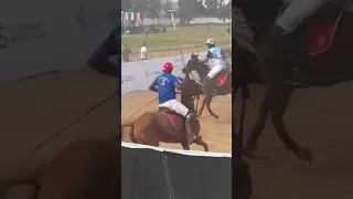 Horse Show #trending #trendingshorts #viral #youtubeshorts #ytshorts #horse #chandigarh