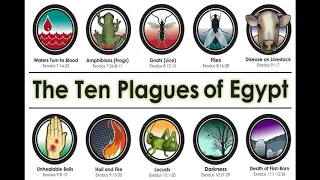 10 Plagues of Egypt Song