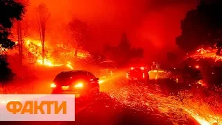 Калифорния в огне: лесные пожары охватили штат, людей эвакуируют