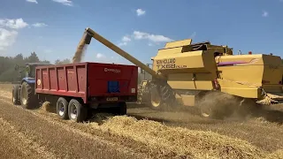 New Holland TX68 Plus Combine Harvester - Winter Barley 2021