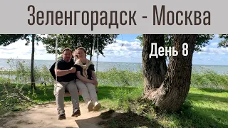 Автопутешествие Зеленоградск - Москва. День 8. Гдов - г. Великий Новгород