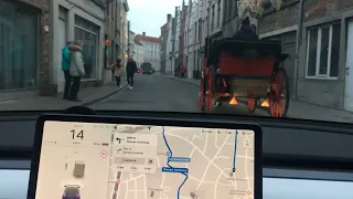 Tesla Model 3 overtaking a horse-drawn carriage