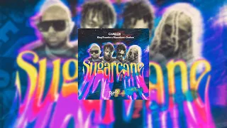 camidoh - sugarcane remix (feat. mayorkun, king promise & darkoo) (slowed + reverb)