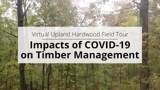 COVID-19 Impacts on Timber (Virtual Upland Hardwood Tour)