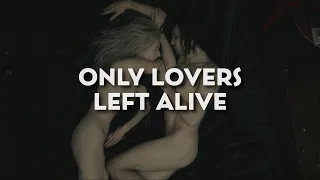 Cinematography Of Only Lovers Left Alive