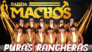 Banda Machos - Puras Rancheras | Los Éxitos Dorados de Banda Machos