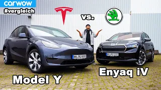 Rasiert Skoda den neuen Tesla? Model Y vs. Enyaq iV! Das Duell der Elektro-SUV.