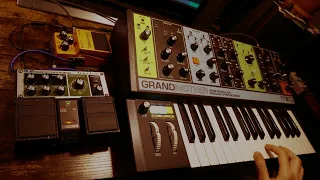 Space Jam with Moog Grandmother + Space Echo Re-20 + Boss DS-1