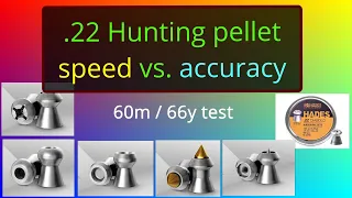 Hunting pellets 60m test in .22 (5.5mm) H&N, JSB