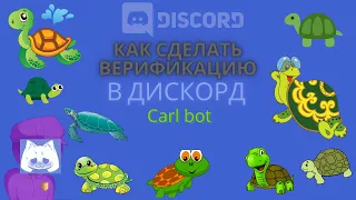 🐢Как сделать верификацию в Discord с помощью Carl bot