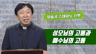 [성모님의 고통과 예수님의 고통] 아레오파고스 22강_양승국 스테파노 신부