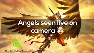 Angels caught on camera: part one